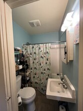 1314 Williamson St, Unit Apt 1 in Madison, WI - Building Photo - Building Photo