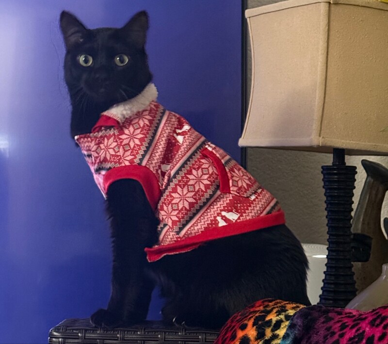 8653 Danridge Dr in Sacramento, CA - Foto de edificio