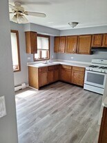 14047 S Tracy Ave, Unit 1B in Riverdale, IL - Building Photo