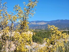 1005 Calle Dorthia in Santa Fe, NM - Building Photo - Building Photo
