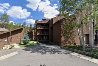 423 Wild Irishman Rd in Dillon, CO - Foto de edificio - Building Photo