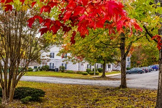 585 Franklin Grove Church Rd in Bryson City, NC - Foto de edificio - Building Photo