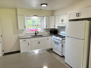 209 Johnson St in Palatine, IL - Building Photo - Building Photo