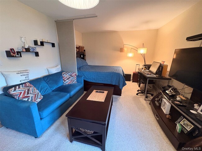 25 Elizabeth St in Farmingdale, NY - Building Photo - Building Photo