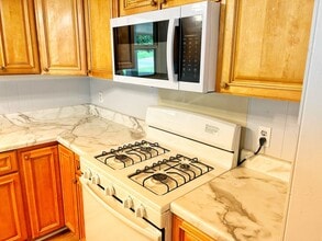 1711 Burney Br Dr in Oxford, MS - Building Photo - Building Photo