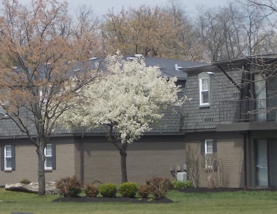 Avery Apartments in Louisville, KY