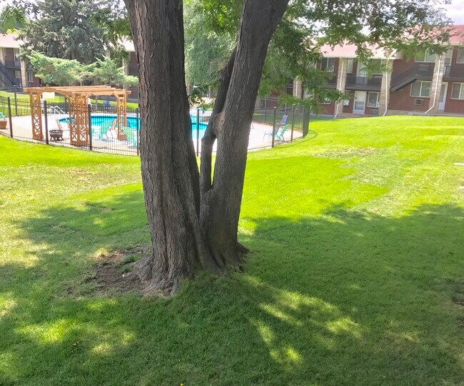 1865 Fenton St in Edgewater, CO - Building Photo - Building Photo