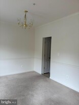 1519 Sunswept Dr in Bel Air, MD - Building Photo
