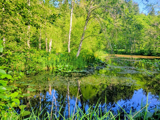 1310 Oyster Creek Ln in Bow, WA - Building Photo - Building Photo