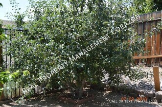 2995 Silverado Creek Dr in Reno, NV - Building Photo - Building Photo