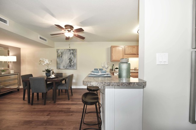 Views at Elm Grove in Knoxville, TN - Building Photo - Building Photo