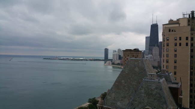 1550 N Lake Shore Dr-Unit -23D in Chicago, IL - Building Photo - Building Photo