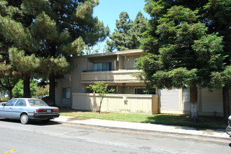 Meadow Rock Apartments in Concord, CA - Building Photo - Building Photo