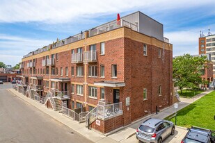 Brownstones on Bloor in Toronto, ON - Building Photo