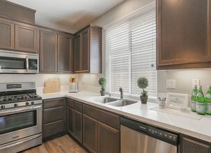 1559 Hutchison Valley Dr in Woodland, CA - Building Photo - Building Photo