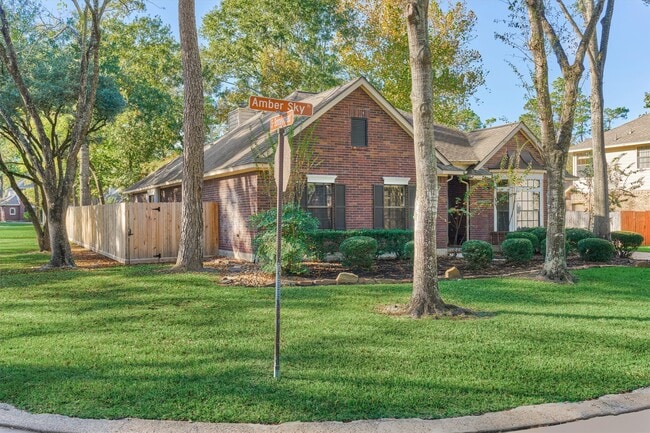 3 Amber Sky Pl in Spring, TX - Building Photo - Building Photo
