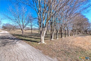 1667 Primrose Trail in Temple, TX - Building Photo