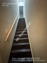 313 Cedar Ave in Scranton, PA - Building Photo