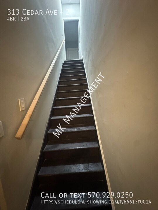 313 Cedar Ave in Scranton, PA - Building Photo