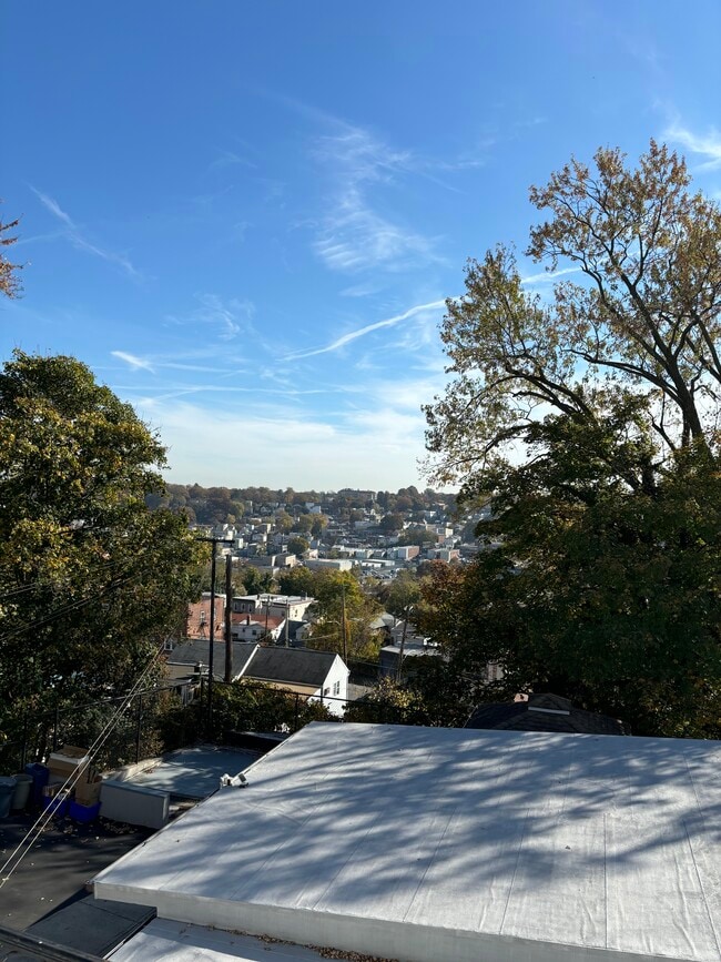 240 Sommerville Pl, Unit #1