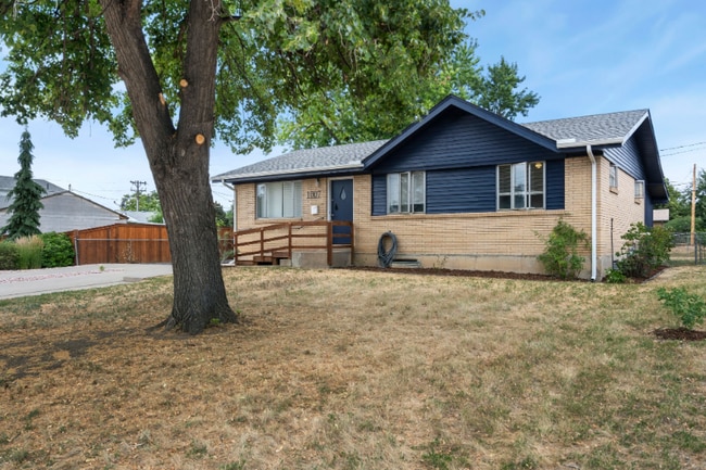 1007 Redwood Dr in Loveland, CO - Building Photo - Building Photo