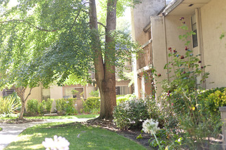 Briarwood Apartments in Pleasant Hill, CA - Foto de edificio - Building Photo