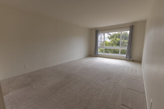 533 8th Ave, Unit Apt #3 in San Francisco, CA - Building Photo - Building Photo