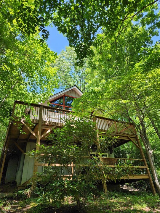 157 Mississippi Rd in Montreat, NC - Building Photo