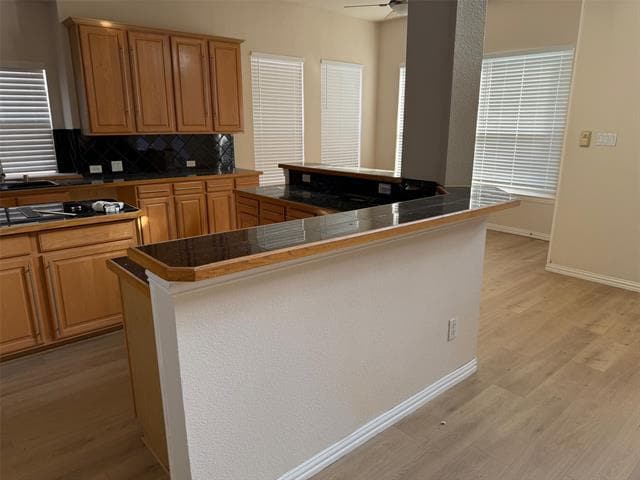 2416 Geiberger Dr in Plano, TX - Building Photo - Building Photo