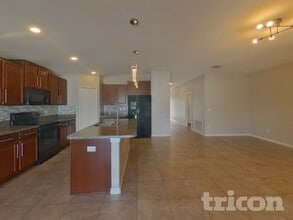 10401 Carloway Hills Dr in Wimauma, FL - Building Photo - Building Photo