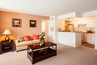 Cricket Club Apartments in Orlando, FL - Building Photo - Building Photo