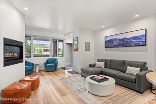 450 S Original St in Aspen, CO - Building Photo