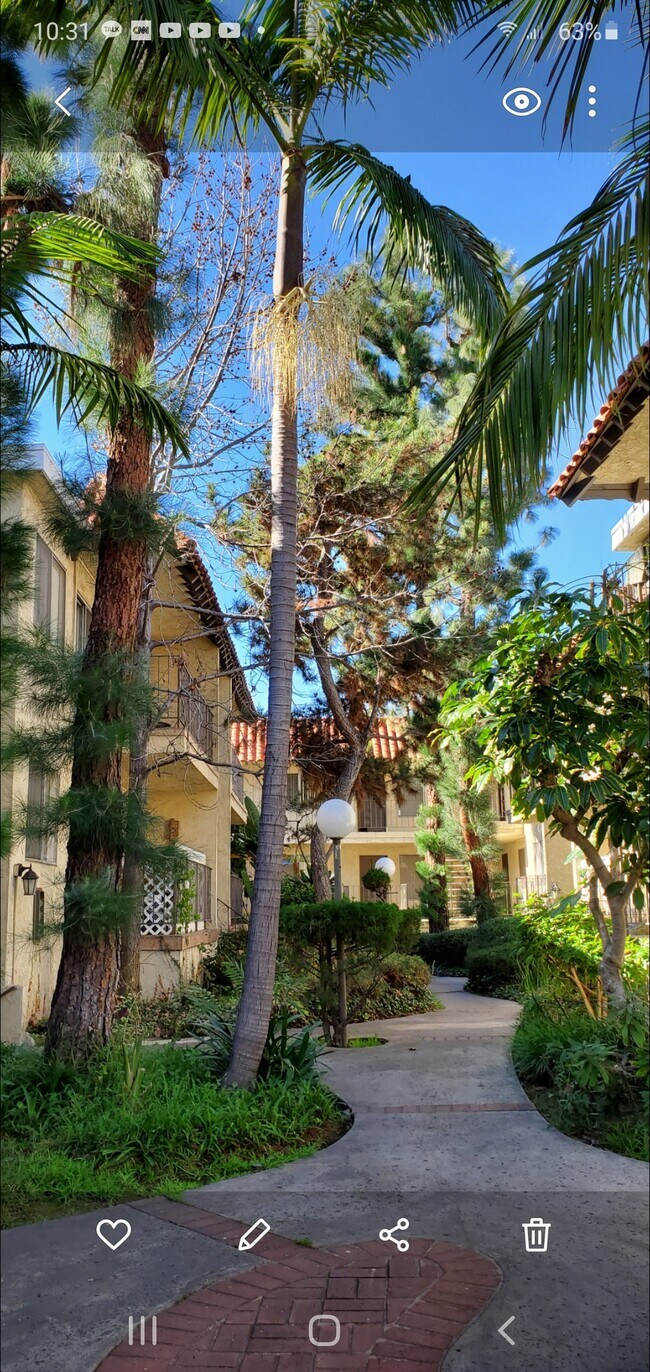 11637 Bellflower Blvd Apartments and Nearby Downey Apartments For Rent