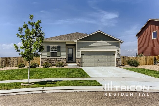 7115 Shavano Cir in Longmont, CO - Building Photo - Building Photo