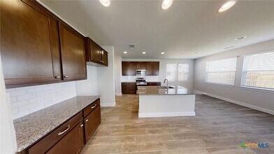 116 Hidden Branch Cv in San Marcos, TX - Building Photo - Building Photo