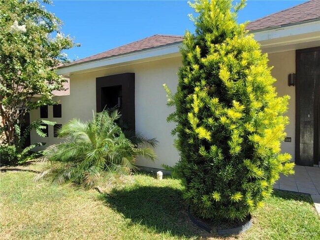 417 E Bluebird Ave in McAllen, TX - Foto de edificio - Building Photo