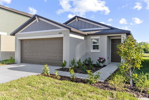 17662 Happytrails St in Land O Lakes, FL - Building Photo