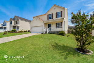 253 Cape Jasmine Way in Lexington, SC - Building Photo