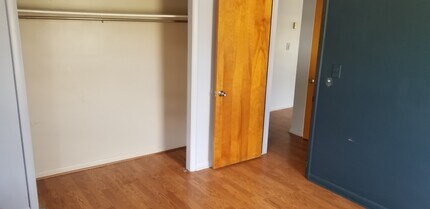 203 Monroe St, Unit #1 in Saline, MI - Building Photo - Building Photo