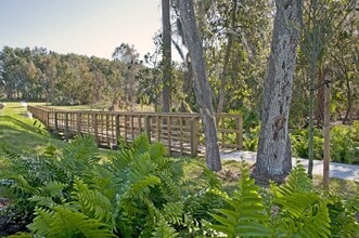 Cristina Woods Apartments in Riverview, FL - Building Photo - Building Photo
