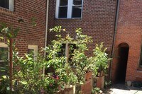 609 Paca N St photo'