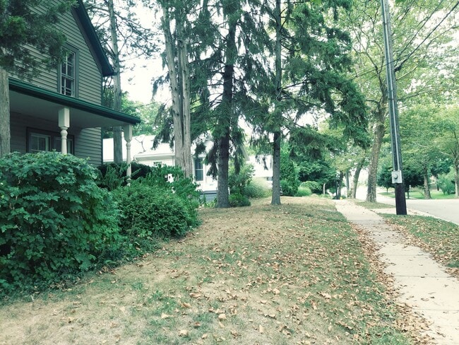 311 Plymouth Ave NE, Unit 2 in Grand Rapids, MI - Building Photo - Building Photo