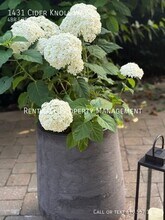 1431 Cider Knoll Way in West Chester, PA - Building Photo - Building Photo