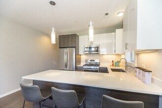 2529 W Congress Pkwy-Unit -3 in Chicago, IL - Building Photo - Building Photo