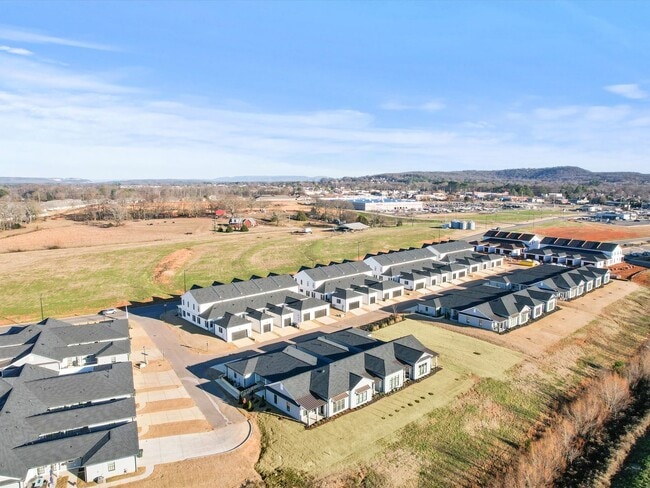 136 Moss Brk Ln in Madison, AL - Building Photo - Building Photo