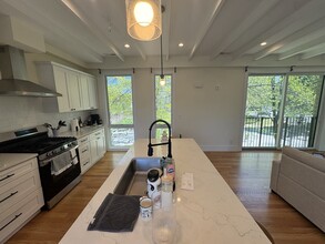 60 Cameron St, Unit 2 in Brookline, MA - Building Photo - Building Photo