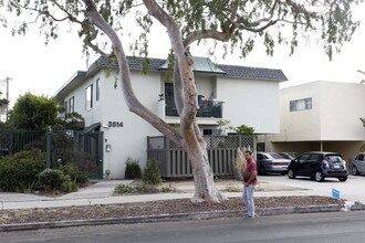 3514 Vinton Ave in Los Angeles, CA - Foto de edificio - Building Photo
