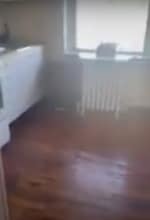 834 W Lancaster Ave in Bryn Mawr, PA - Building Photo - Building Photo