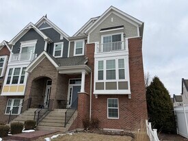 4194 Royal Mews Cir in Naperville, IL - Building Photo