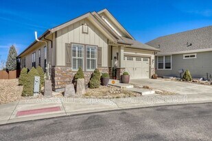 6601 Pinery Villa Pl in Parker, CO - Building Photo